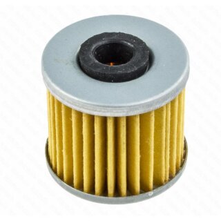 OE Repro Öl Filter Oil Filter Vergl. Nr. HF566 / 77038005000