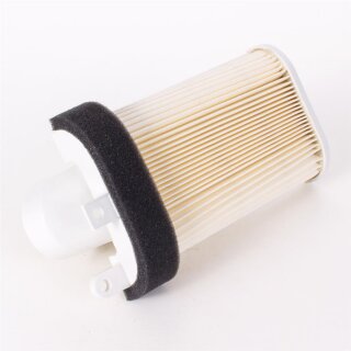 CBP Luftfilter Einsatz Motorgehäuse links für Yamaha T-Max 500 01-07