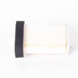 CBP Luftfilter Einsatz Motorgehäuse links für Yamaha T-Max 530 12-13