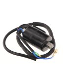 CBP OE Repro Zündspule Ignition Coil 12 V 3 Ohm LA...