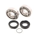 Yamaha DT 250 MX 1R6 1R7 YZ 250 Kurbelwellen Lager Satz Simmerring Bearing Kit Crank