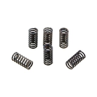 Yamaha DT 250 400 MX WR YTZ 250 Kupplungsfeder Set OE Japan Clutch Spring Set 6pcs