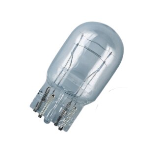 Casa Moto  Glühbirne 12V / 5 Watt Glassockel gross für Standlicht