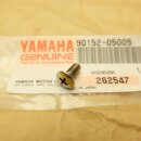 Yamaha Screw Oval Head (1A0) 90152-05005 wird zu 98707-05012