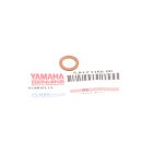 Yamaha Dichtring Kupfer M8 Vorderrad Gabel Bolzen GASKET...