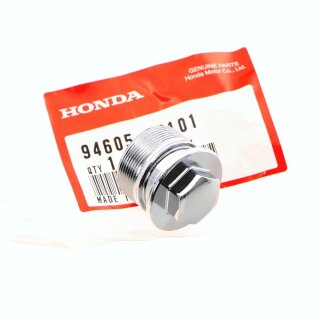 Honda CB CJ CL CM 125 175 200 250 360 400 K G T CX 500 SL XL 100 125 175 Gabel Schraube Bolzen Bolt Fork Chrome